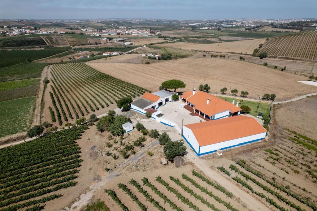 Whome Countryside Charm Near Wedding Venue W/ Bbq Patio Torres Vedras Exteriör bild